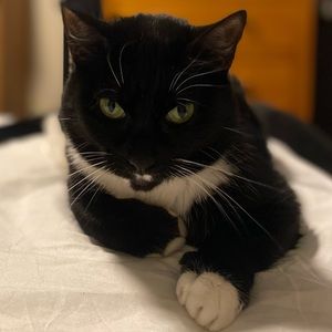 Meet your Posher, Roman